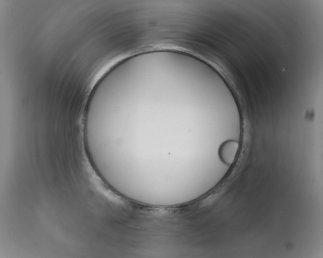 X0000111820814200907231023