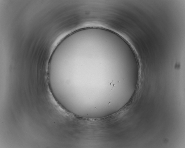 X0000111820815200907231023
