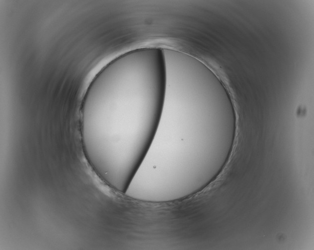 X0000111820816200907231023