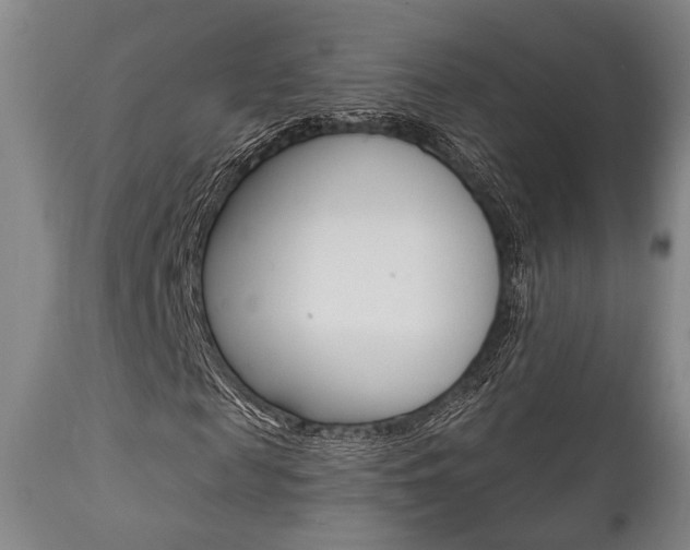 X0000111820817200907231022