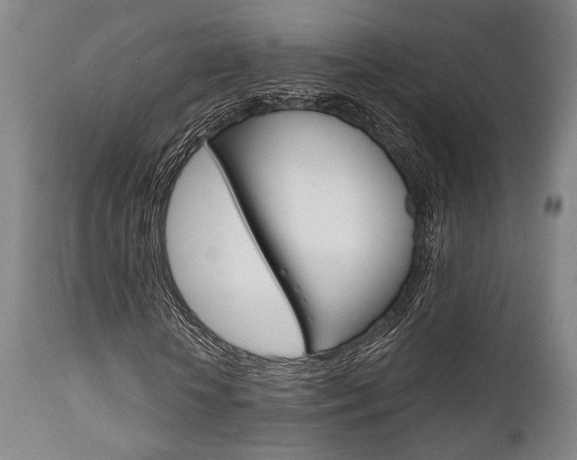 X0000111820818200907231022