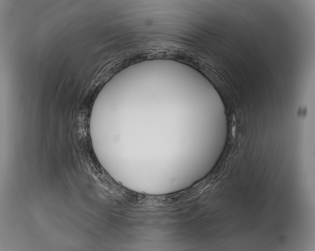 X0000111820819200907231022