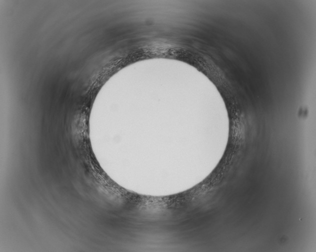 X0000111820820200907231022