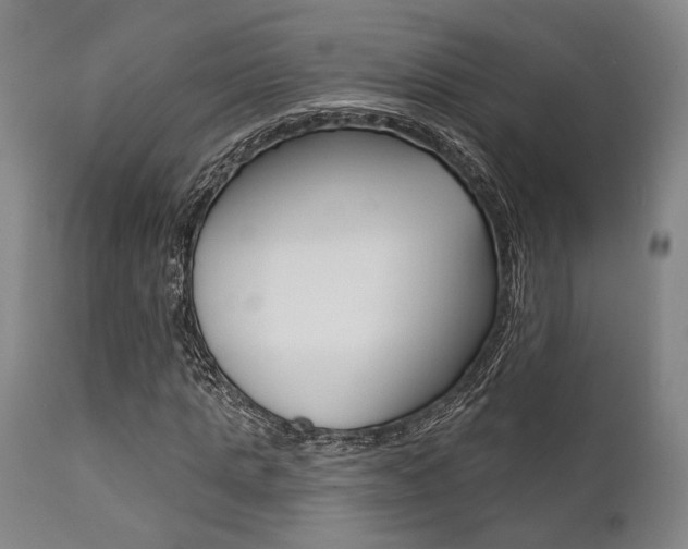 X0000111820821200907231022
