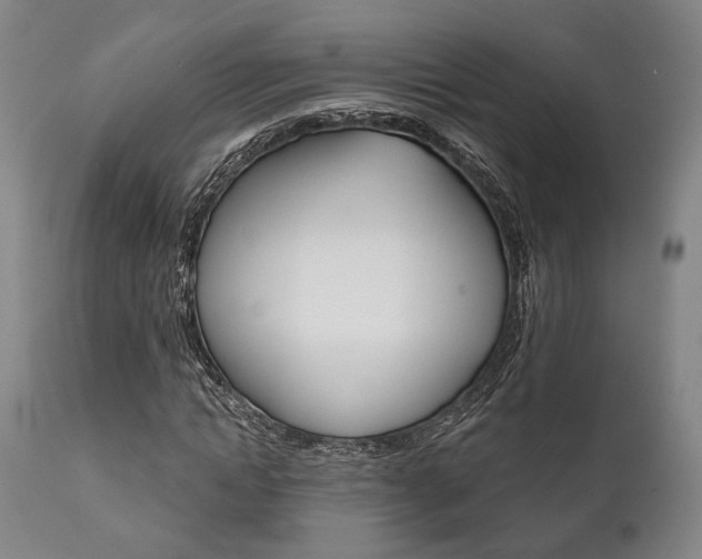 X0000111820822200907231022