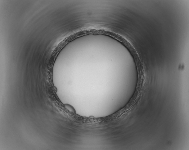 X0000111820823200907231022