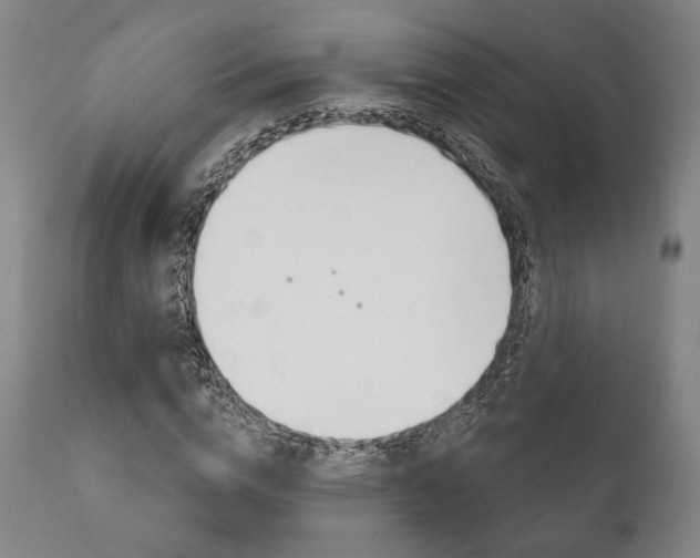 X0000111820824200907231022