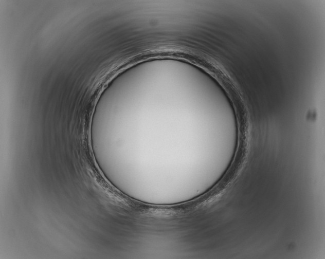 X0000111820825200907231022