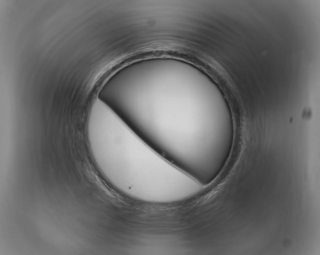 X0000111820826200907231022
