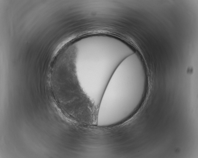 X0000111820827200907231022