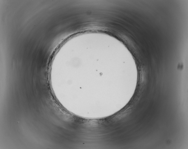 X0000111820828200907231022