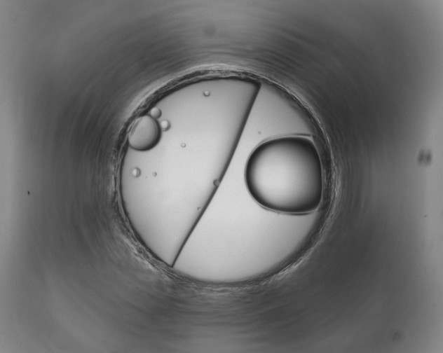 X0000111820829200907231022