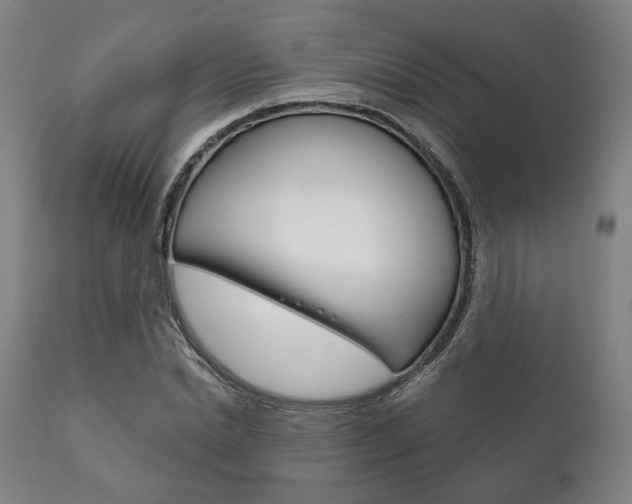 X0000111820830200907231022