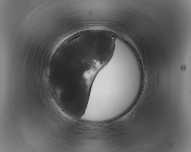 X0000111820831200907231022