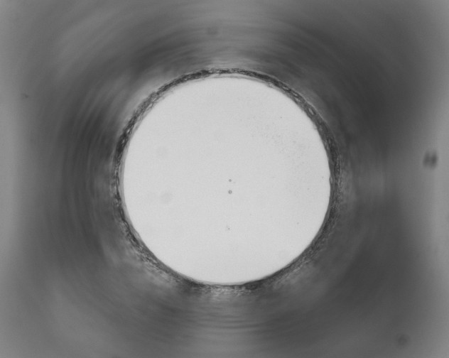 X0000111820832200907231022