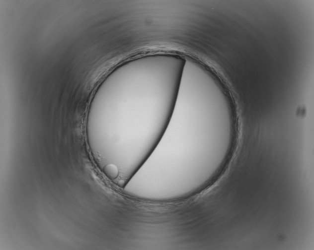 X0000111820833200907231022