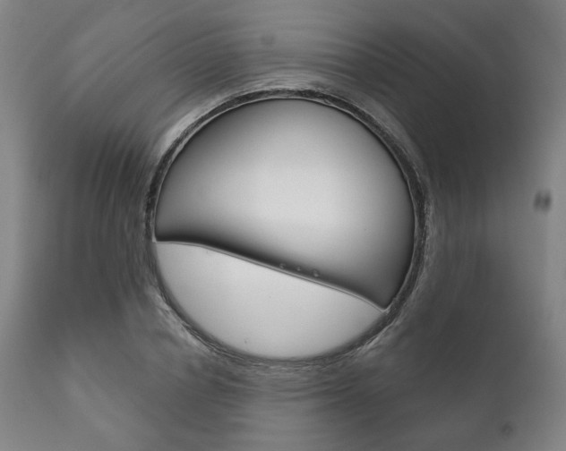 X0000111820834200907231022