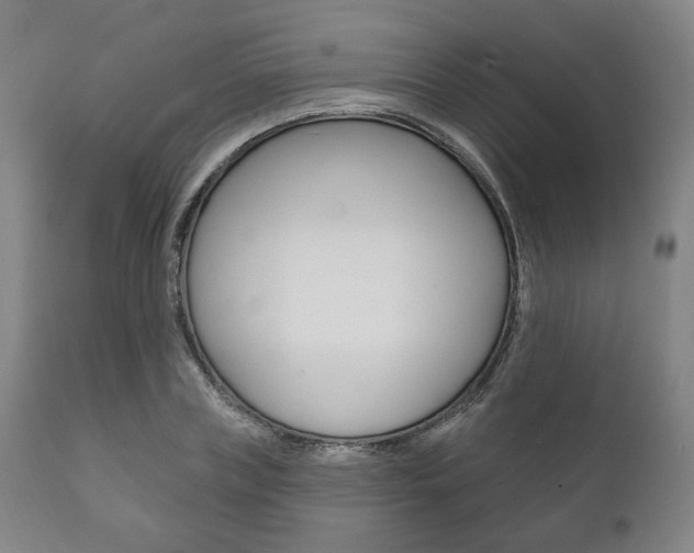 X0000111820835200907231022