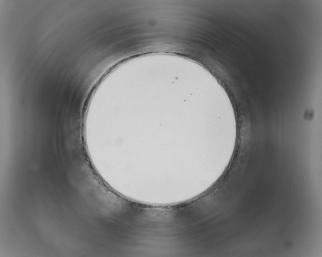X0000111820836200907231022