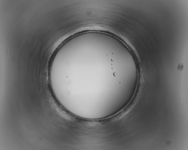 X0000111820837200907231022