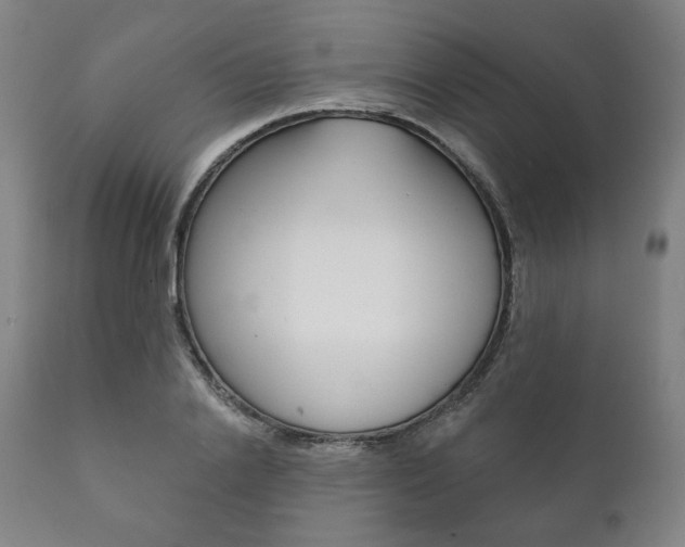 X0000111820838200907231022