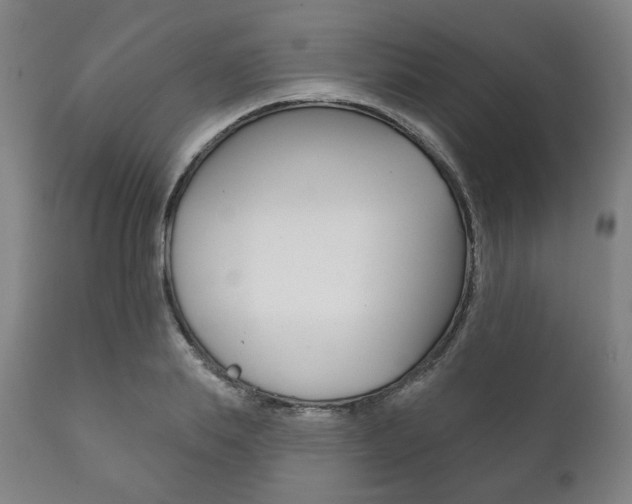 X0000111820839200907231022