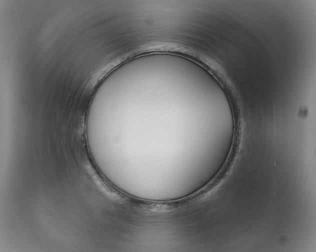 X0000111820841200907231022