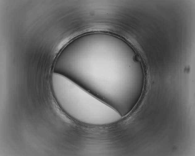 X0000111820842200907231022