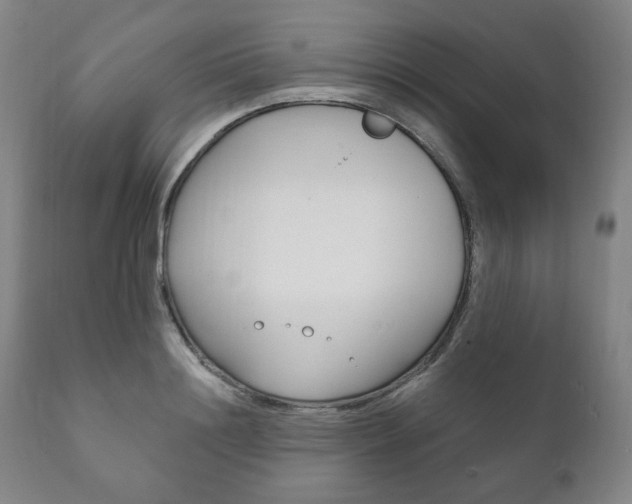 X0000111820844200907231022