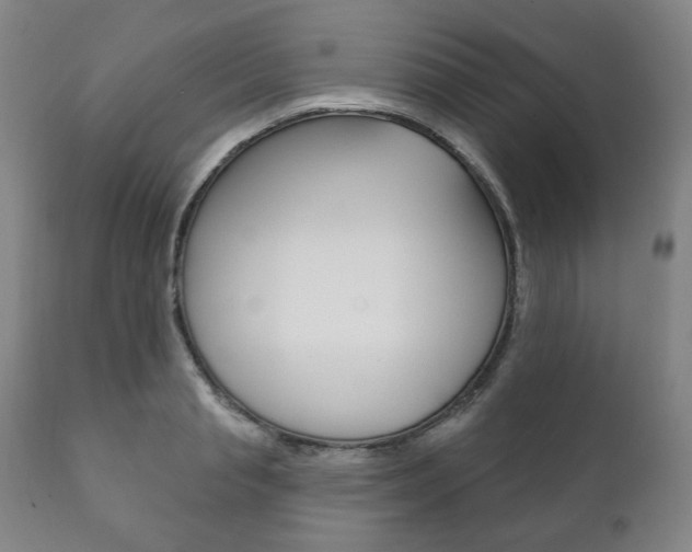 X0000111820845200907231022
