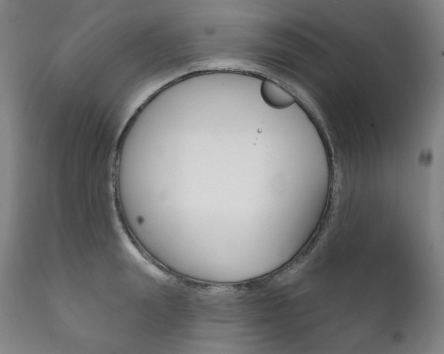 X0000111820847200907231022