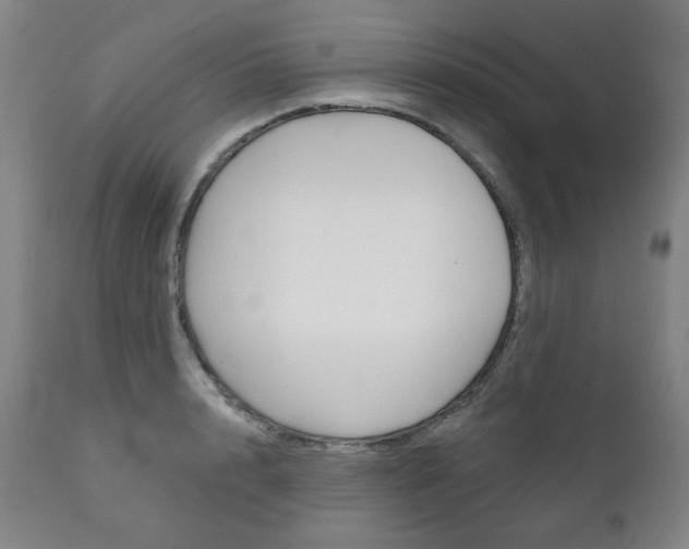 X0000111820848200907231022