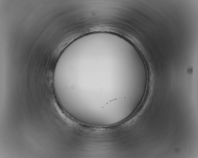 X0000111820849200907231022