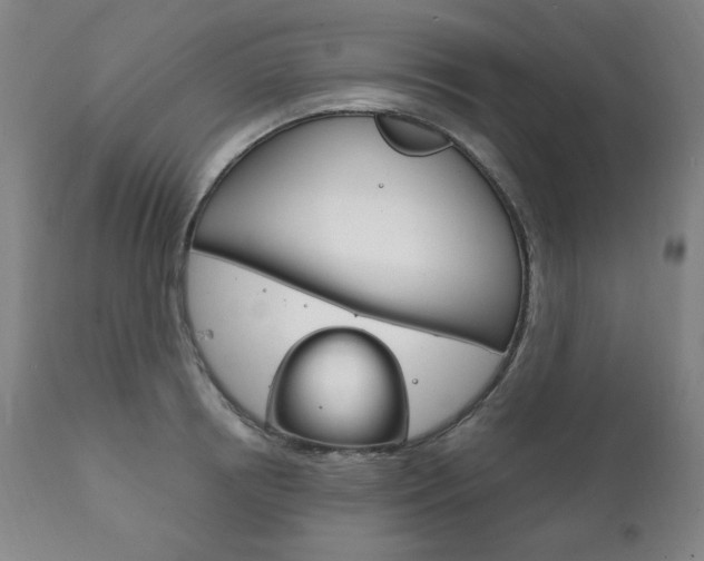 X0000111820850200907231022