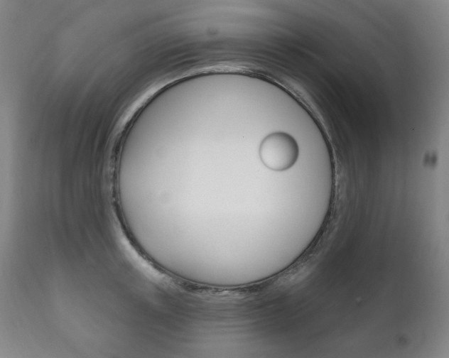 X0000111820851200907231022