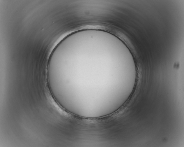 X0000111820852200907231022