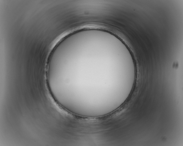 X0000111820853200907231022