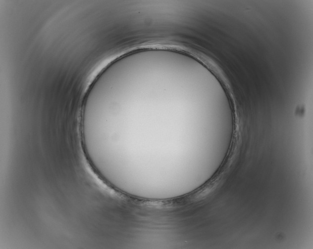 X0000111820855200907231022