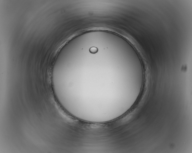 X0000111820857200907231022
