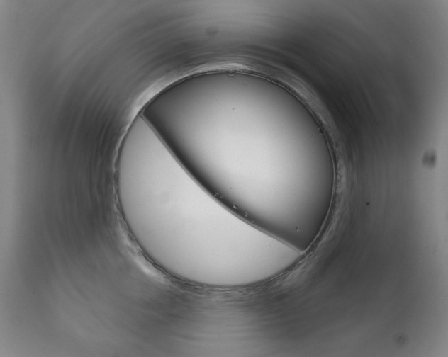 X0000111820858200907231022