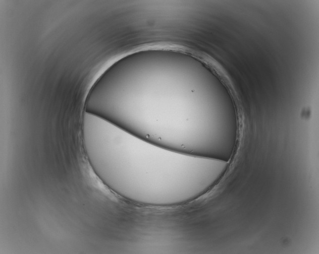 X0000111820860200907231023