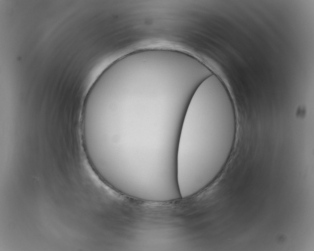 X0000111820863200907231023