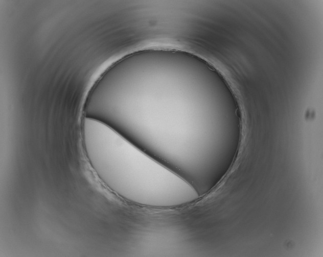 X0000111820864200907231023