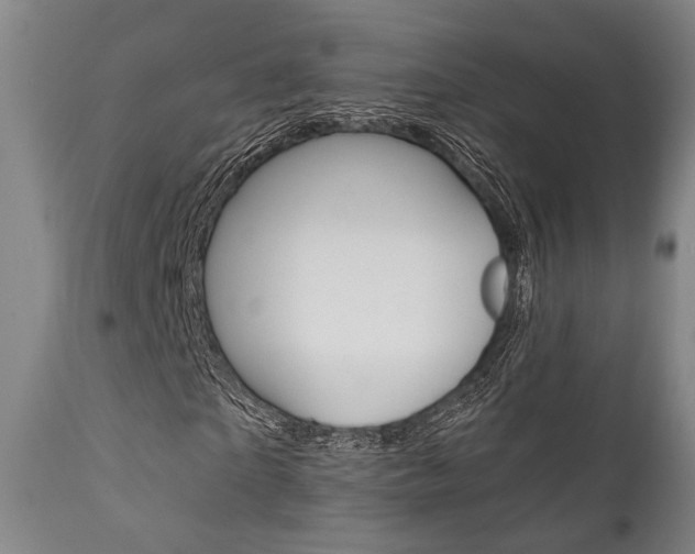 X0000111820865200907231022