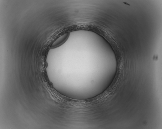 X0000111820868200907231022