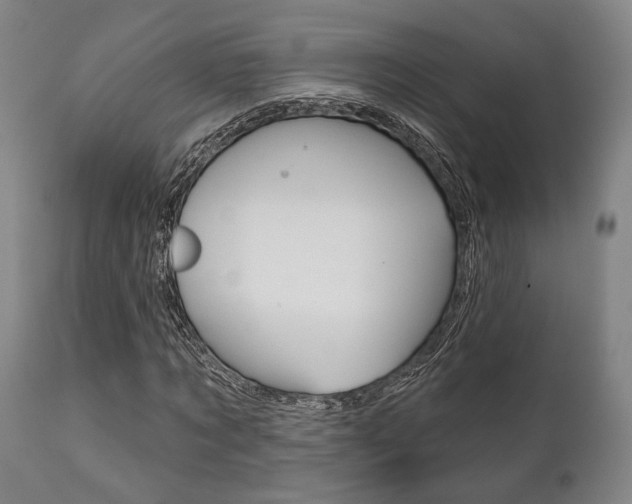 X0000111820869200907231022