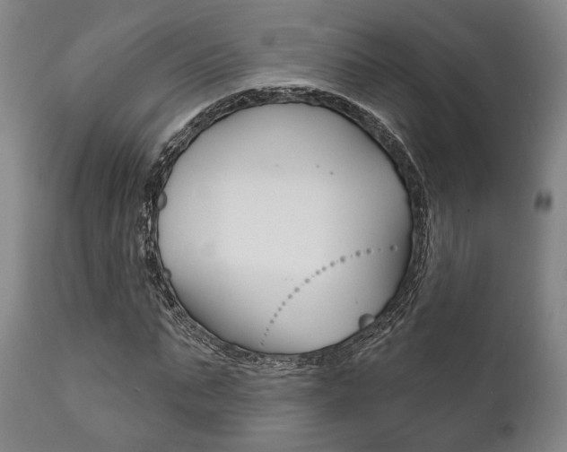 X0000111820871200907231022
