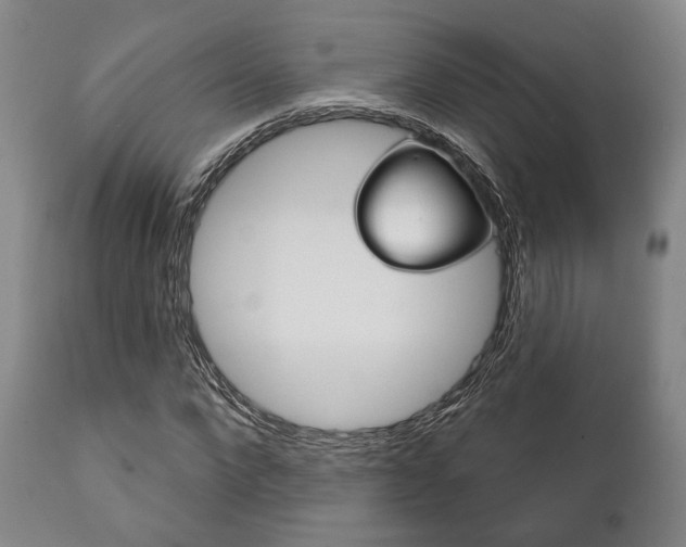 X0000111820872200907231022
