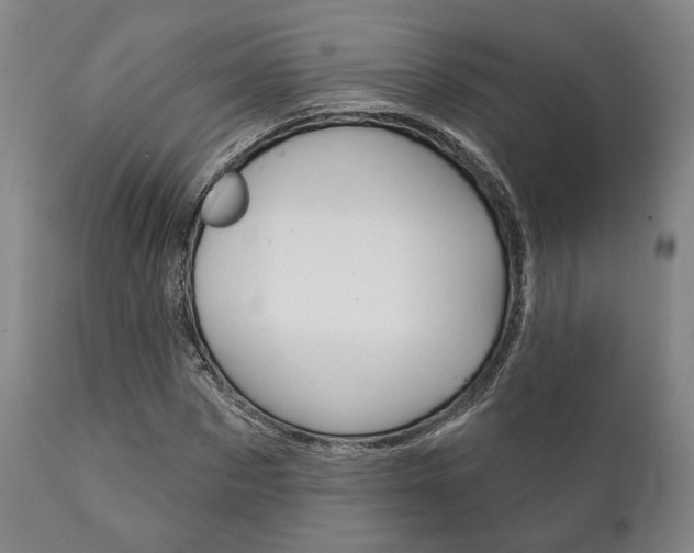 X0000111820873200907231022