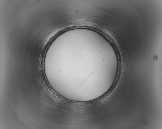 X0000111820875200907231022